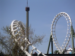 cel03
